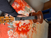 Ukulele for Sale